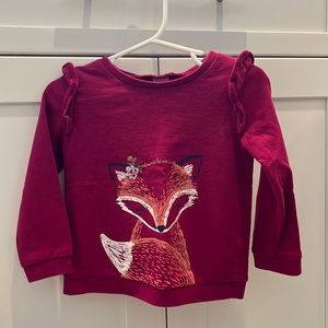 Carter’s 24M Fox Sweatshirt